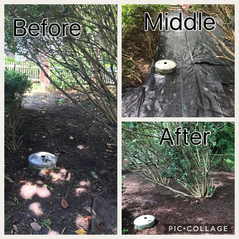 Affordable lawn mowing service for outdoor upgrades across Newport, NC - Sound Boys Landscaping