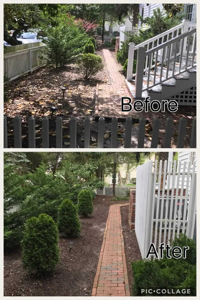 Top-rated lawn mowing service in Newport, NC by Sound Boys Landscaping