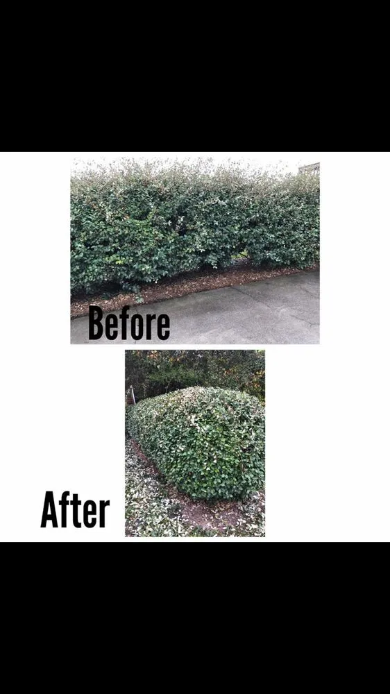 Custom yard maintenance for outdoor upgrades in Newport, NC by Sound Boys Landscaping