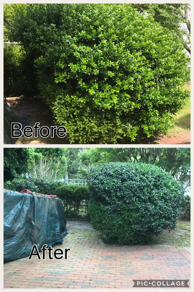 Local residential landscaping experts serving Newport, NC - Sound Boys Landscaping