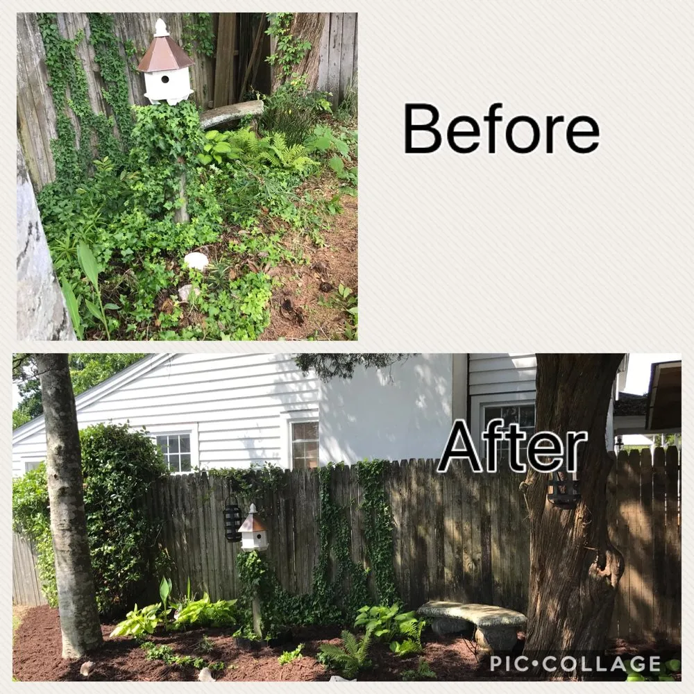 Top-rated landscaping services in Newport, NC by Sound Boys Landscaping