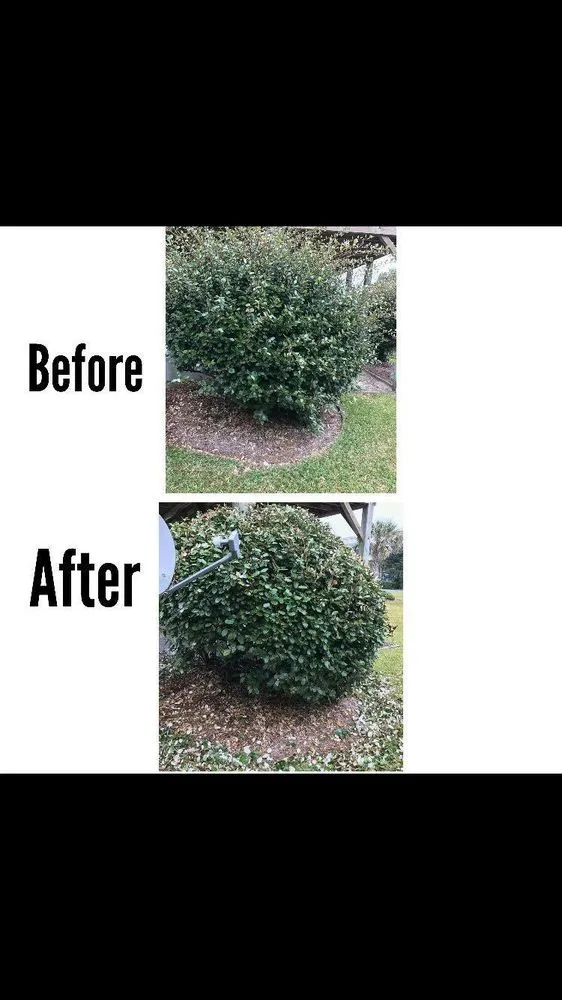 Top-rated landscaping services in Newport, NC by Sound Boys Landscaping