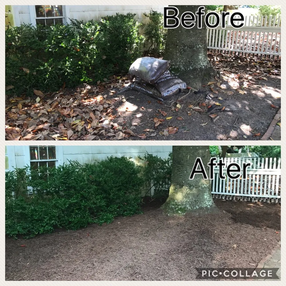Affordable residential landscaping in Newport, NC - Sound Boys Landscaping