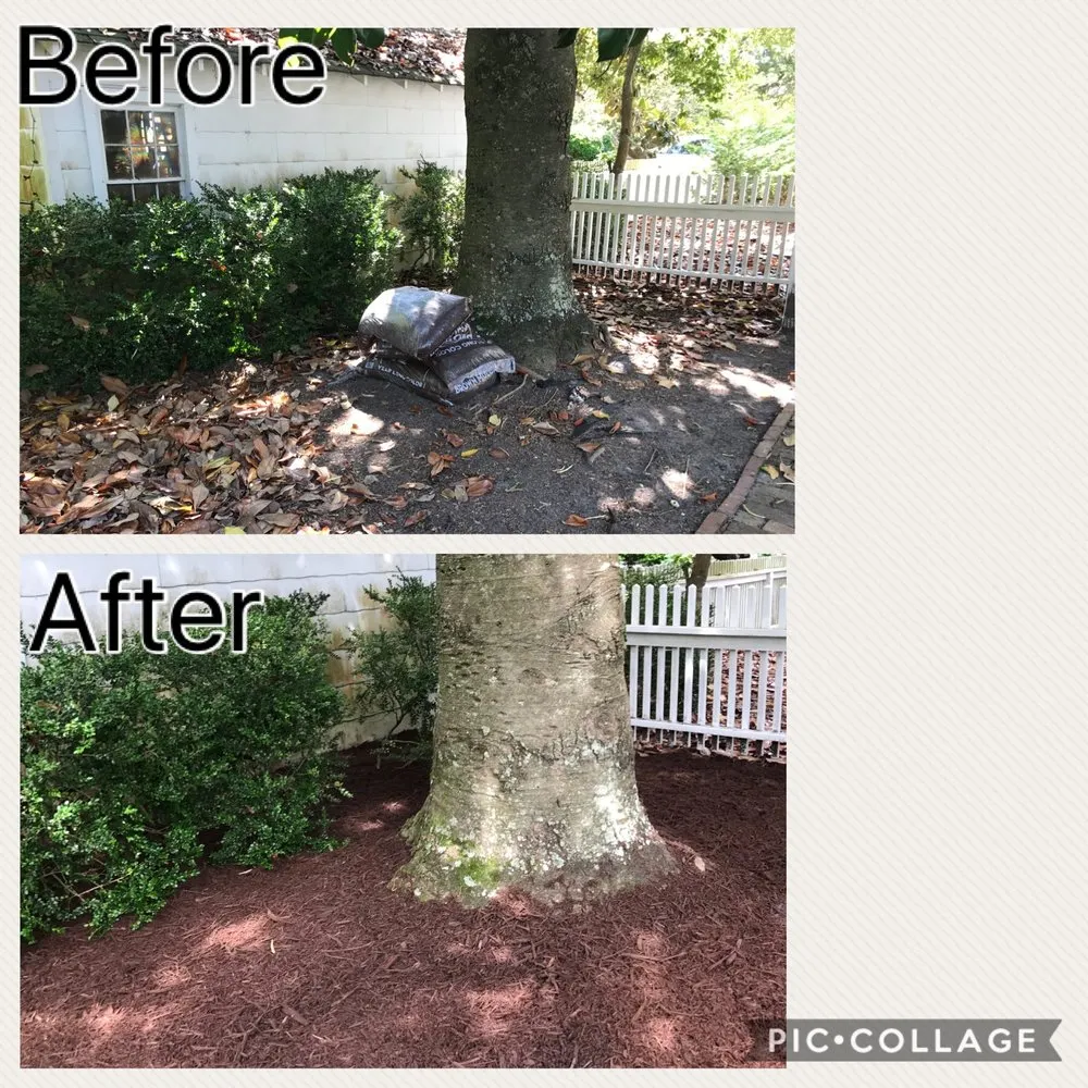 Professional landscape design in Newport, NC by Sound Boys Landscaping