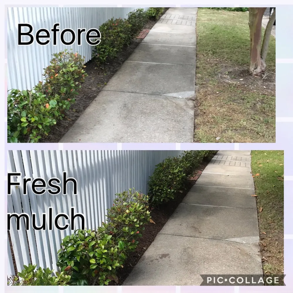 Top-rated outdoor landscaping in Newport, NC by Sound Boys Landscaping