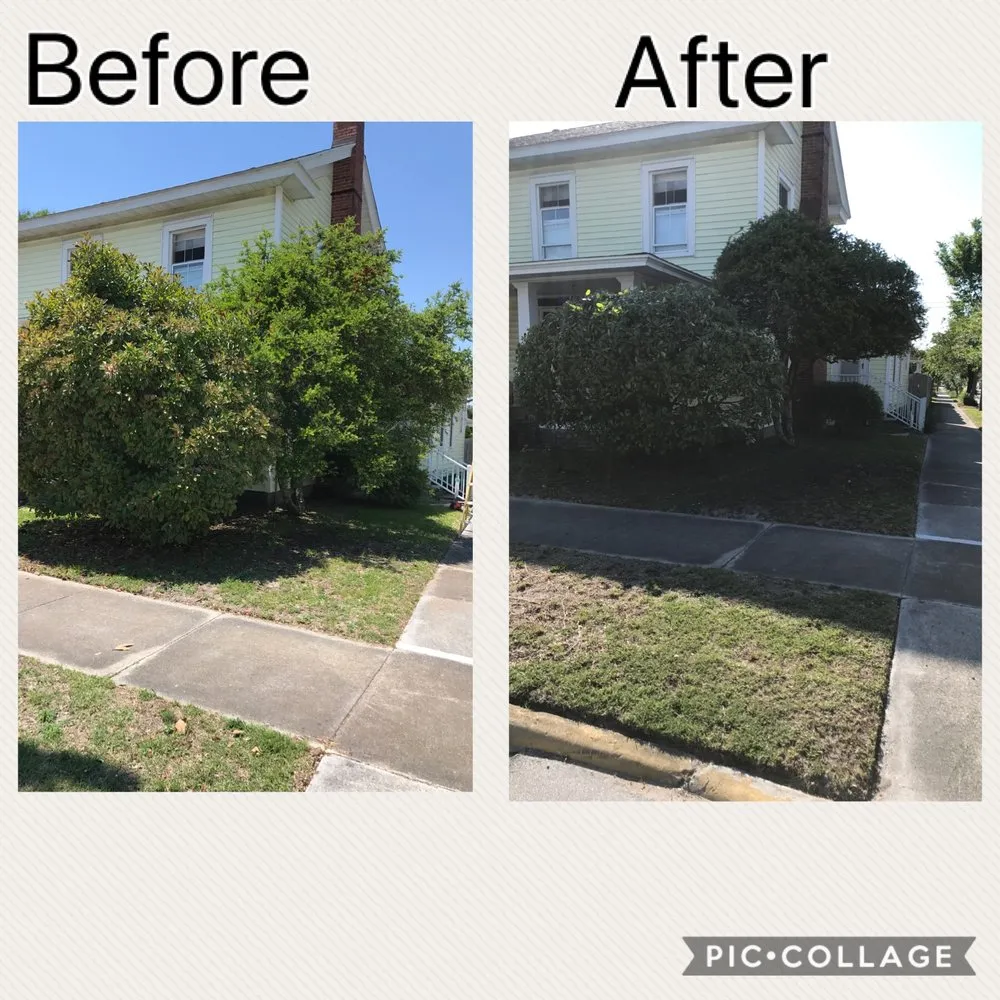 Reliable landscape installation in Newport, NC by Sound Boys Landscaping