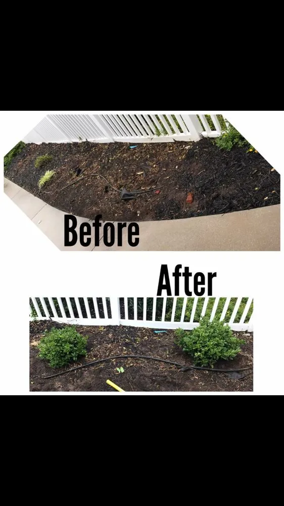 Top-rated landscape installation in Newport, NC - Sound Boys Landscaping