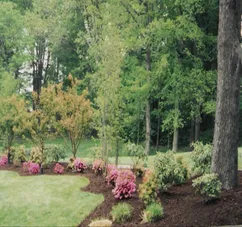 Local yard maintenance in Danbury, CT by Sound Grounds
