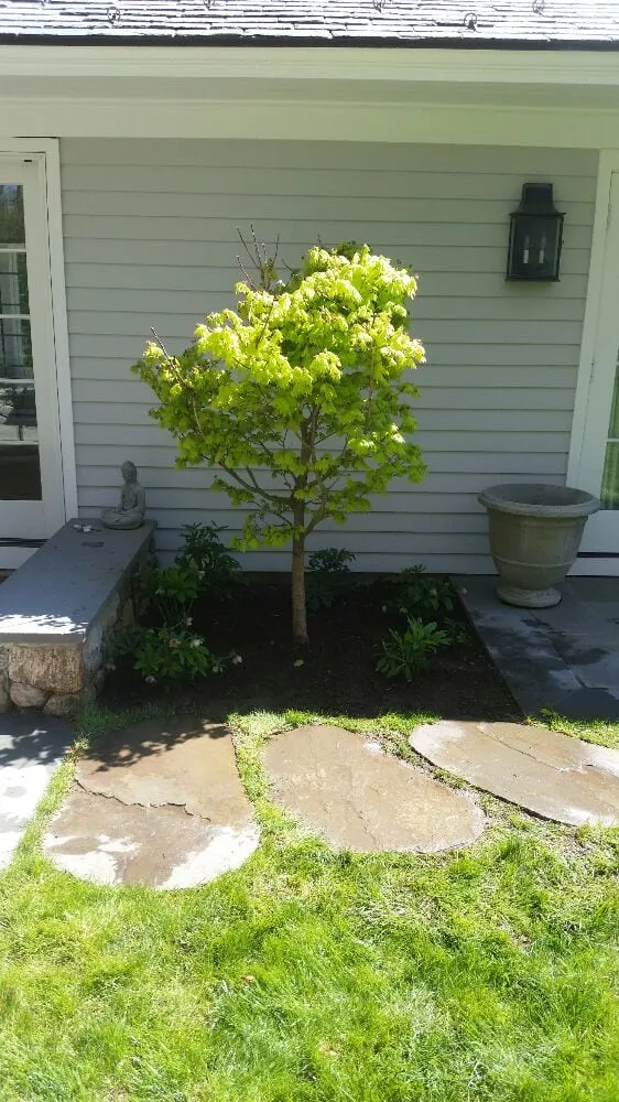 Expert lawn care service in Danbury, CT - Sound Grounds