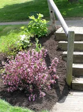 Trusted outdoor landscaping with custom design in Danbury, CT by Sound Grounds