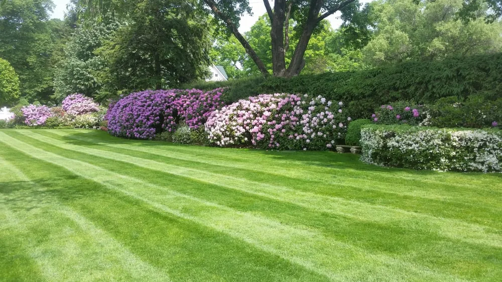 Reliable landscape installation in Danbury, CT by Sound Grounds