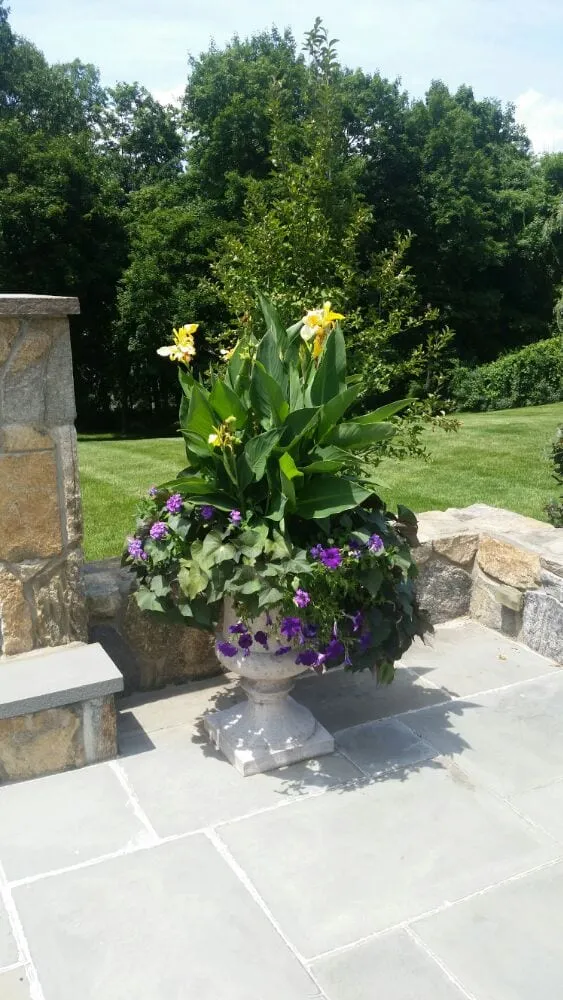 Reliable yard cleanup service for year-round maintenance across Danbury, CT - Sound Grounds