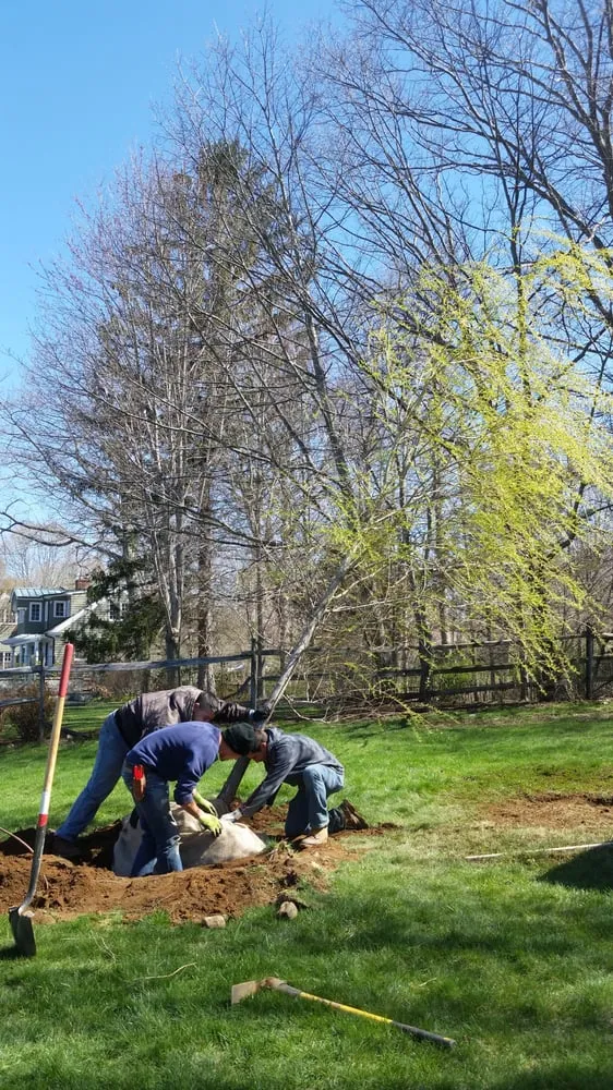 Affordable yard cleanup service for homes in Danbury, CT by Sound Grounds