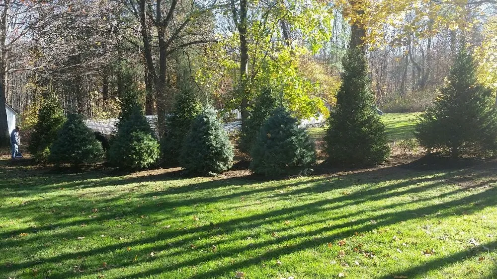 Affordable residential landscaping in Danbury, CT - Sound Grounds