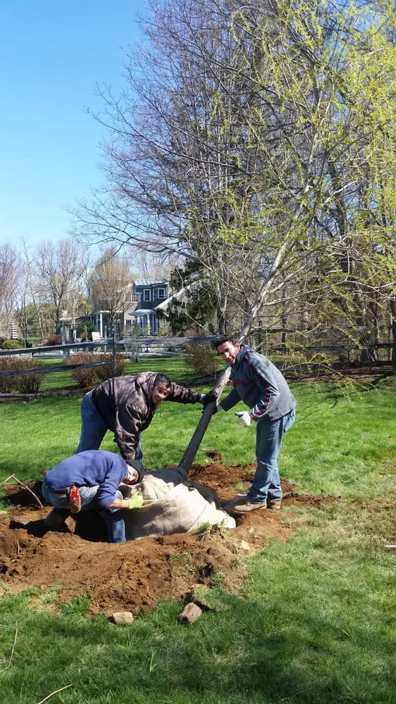 Local landscaping services in Danbury, CT - Sound Grounds