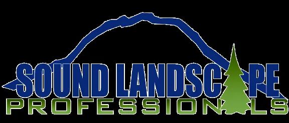 Reliable landscape installation for year-round maintenance across Olympia, WA - Sound Landscape Professionals