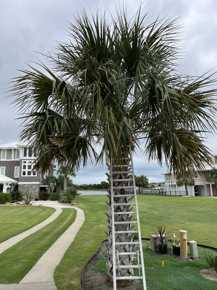 Custom yard maintenance in Swansboro, NC - Sound Side Lawn Care
