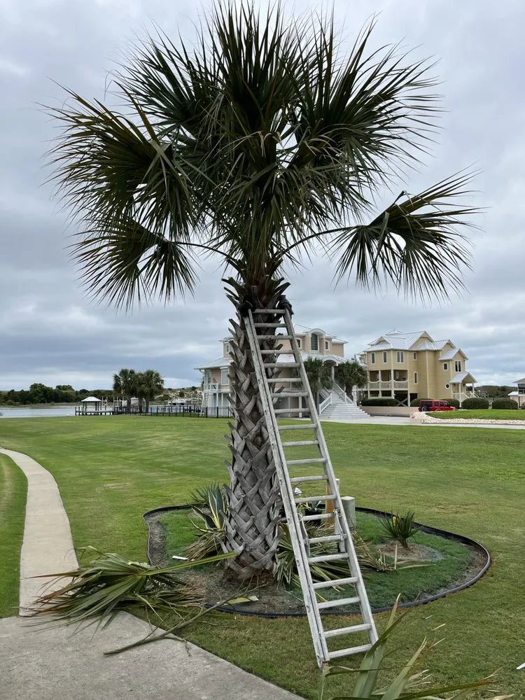 Top-rated landscaping services experts serving Swansboro, NC - Sound Side Lawn Care
