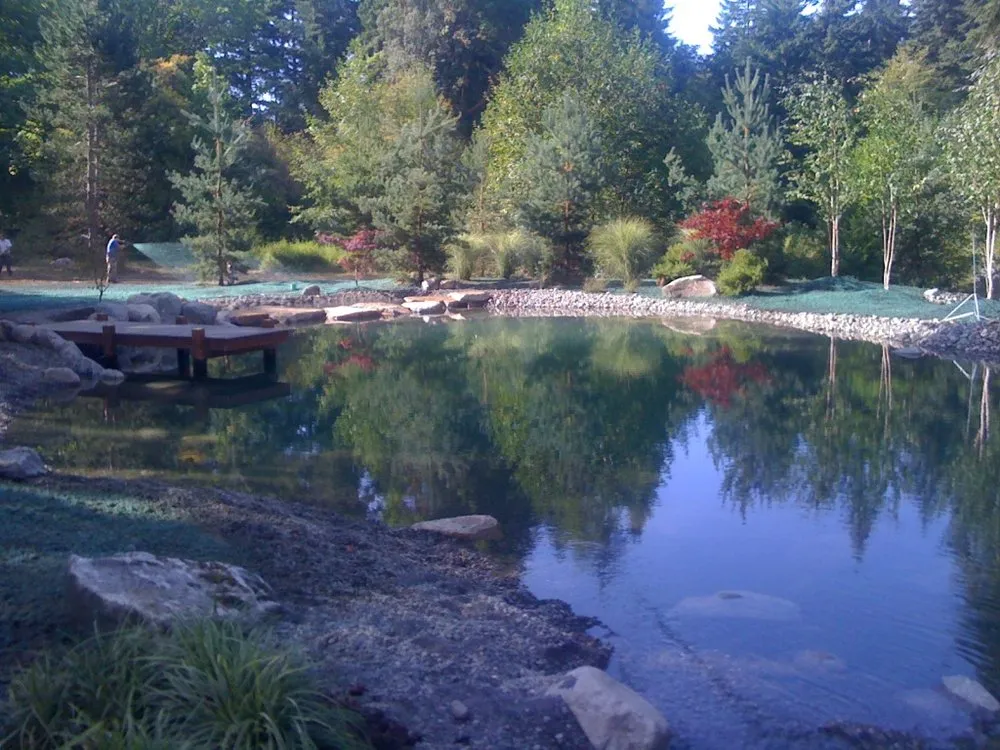 Reliable yard cleanup service experts serving Kingston, WA - Sound to Olympics Construction