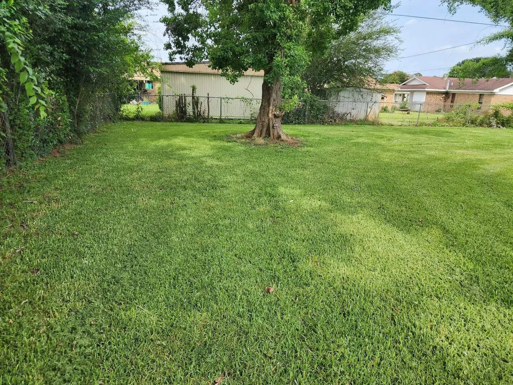 Expert yard cleanup service for year-round maintenance in Bossier City, LA by Sounds of Freedom Lawn Care