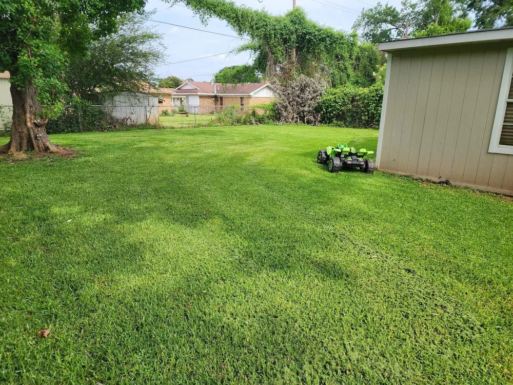 Local lawn mowing service experts serving Bossier City, LA - Sounds of Freedom Lawn Care