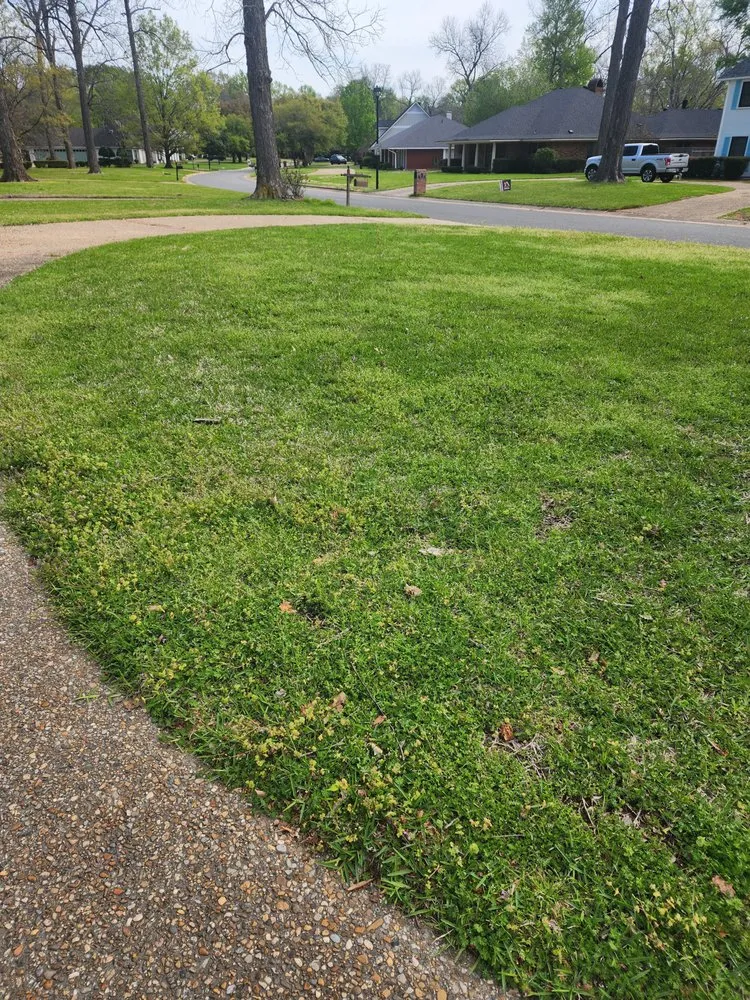 Custom yard cleanup service for outdoor upgrades in Bossier City, LA by Sounds of Freedom Lawn Care