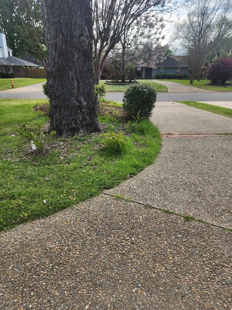 Trusted landscaping services in Bossier City, LA - Sounds of Freedom Lawn Care