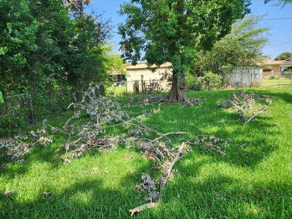 Affordable landscape design in Bossier City, LA - Sounds of Freedom Lawn Care