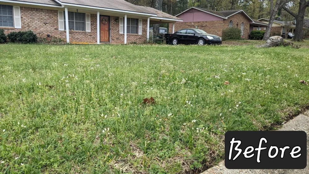 Trusted landscaping services experts serving Bossier City, LA - Sounds of Freedom Lawn Care