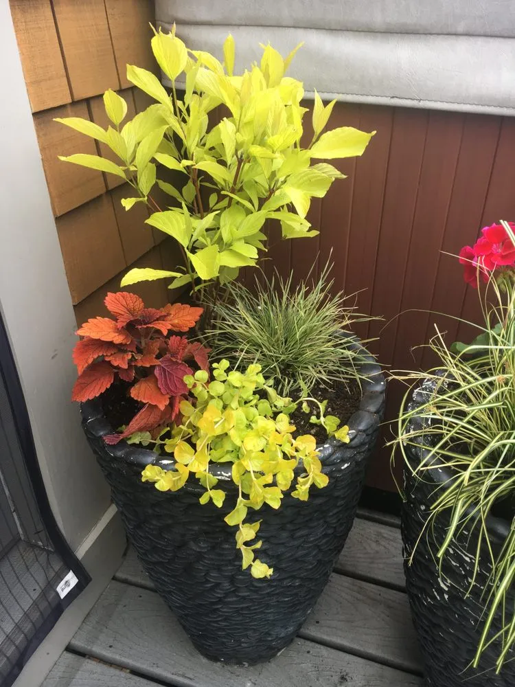 Custom lawn mowing service for residential properties in Seattle, WA by Soundscape Tree & Garden