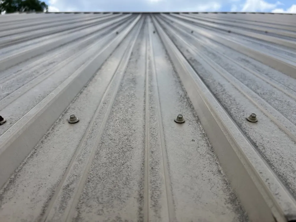 Trusted yard maintenance in Williamston, NC - Soundside Softwash Solutions