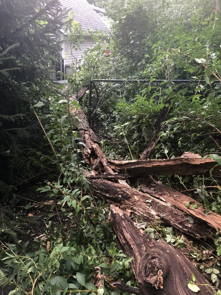 Top-rated landscape installation experts serving Huntington, NY - Soundview Gardens and Design