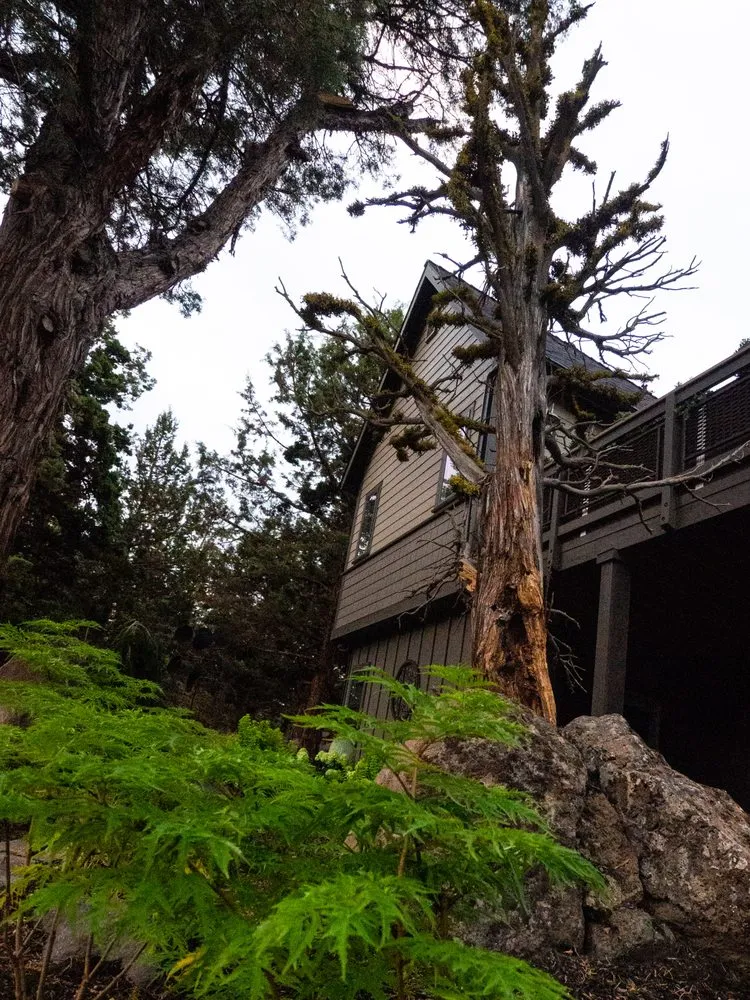 Affordable yard cleanup service for homes across Bend, OR - Source Landscaping