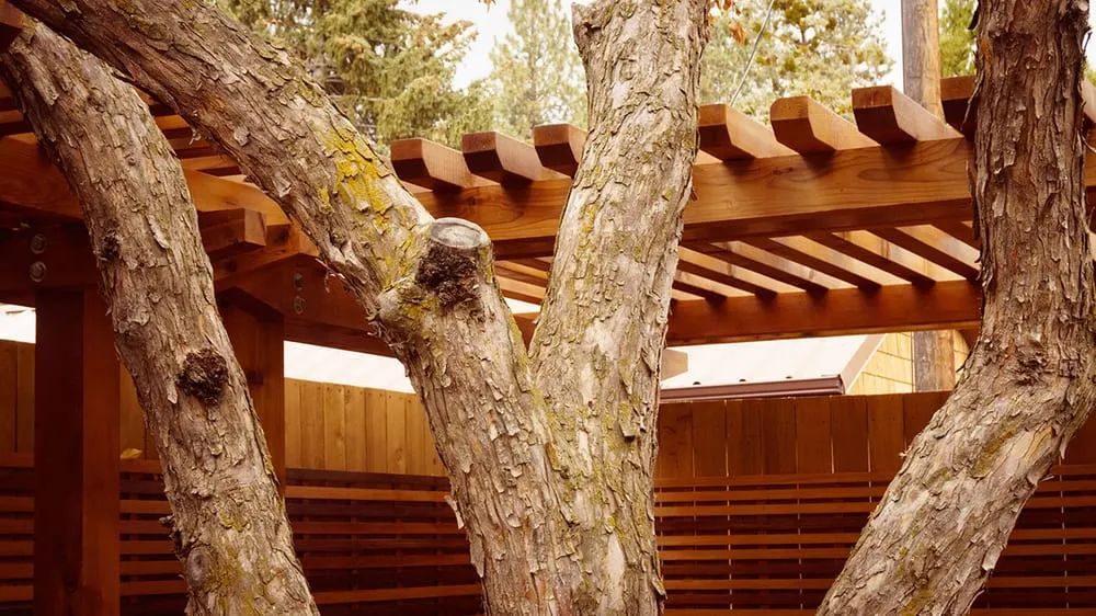 Affordable outdoor landscaping experts serving Bend, OR - Source Landscaping