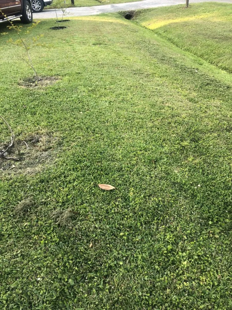 Expert lawn mowing service in North Charleston, SC - Sourth Carolina Landscaping