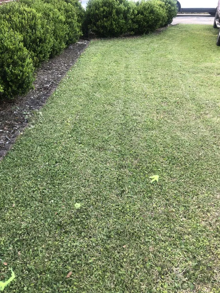 Local landscaping services in North Charleston, SC - Sourth Carolina Landscaping