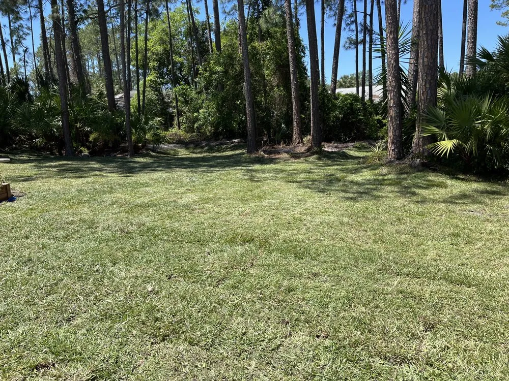 Top-rated lawn mowing service for outdoor upgrades in Palm coast, FL by Sousa landscaping and Site Work