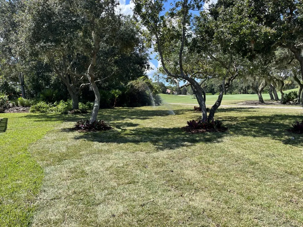 Expert outdoor landscaping experts serving Palm coast, FL - Sousa landscaping and Site Work