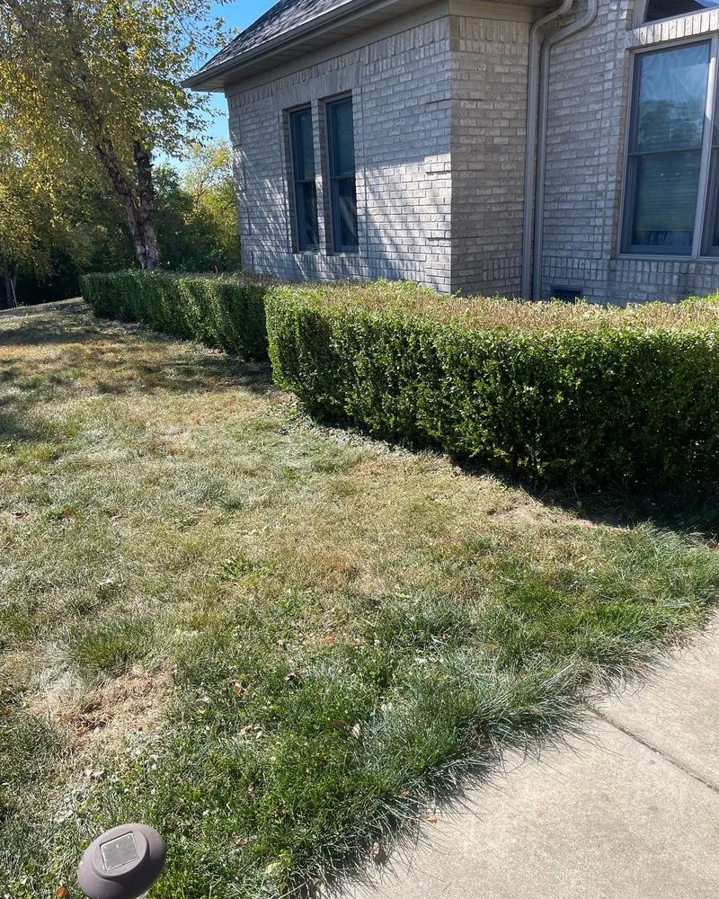 Custom lawn care service for beautiful yards in New Castle, IN by Sousa Lawn Care & Home Improvement