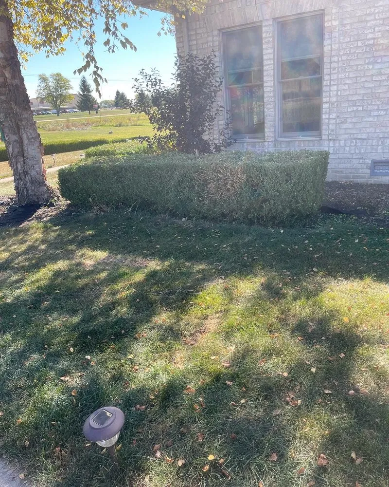 Expert landscaping services experts serving New Castle, IN - Sousa Lawn Care & Home Improvement