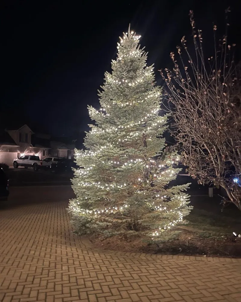 Expert landscape design for outdoor upgrades across New Castle, IN - Sousa Lawn Care & Home Improvement