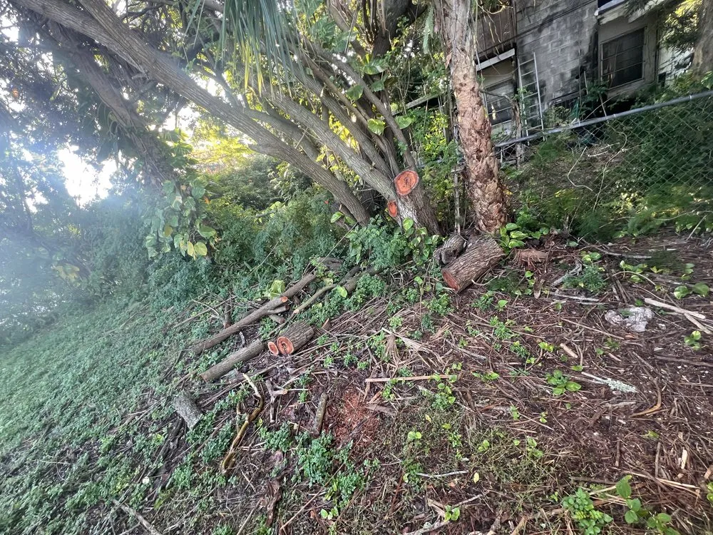 Trusted yard maintenance in Cocoa, FL by Sousa Lawn Care