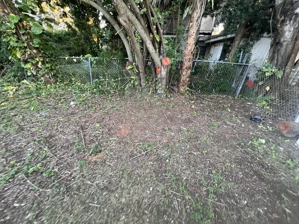 Expert yard maintenance experts serving Cocoa, FL - Sousa Lawn Care