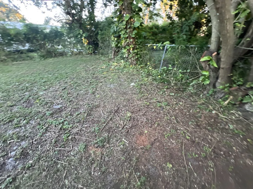 Affordable lawn care service in Cocoa, FL - Sousa Lawn Care