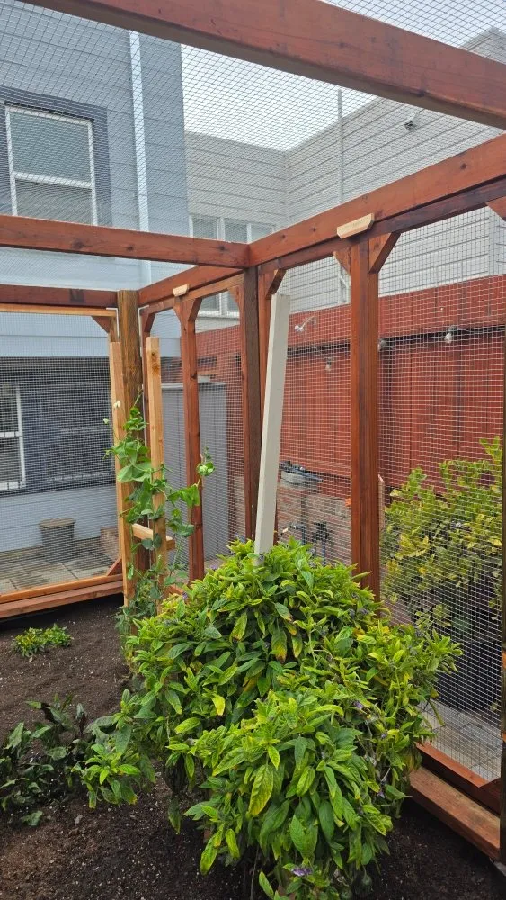 Expert yard maintenance experts serving Pittsburg, CA - Sousa