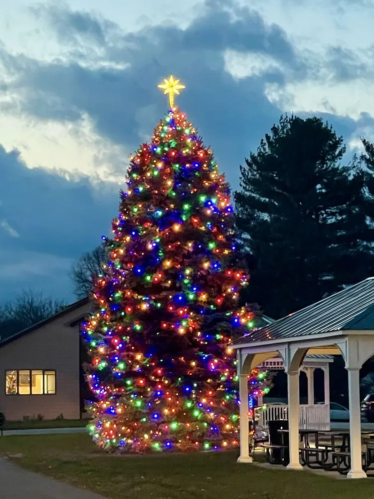 Trusted yard cleanup service in Hebron, IN - South + Jefferson Home and Lawn