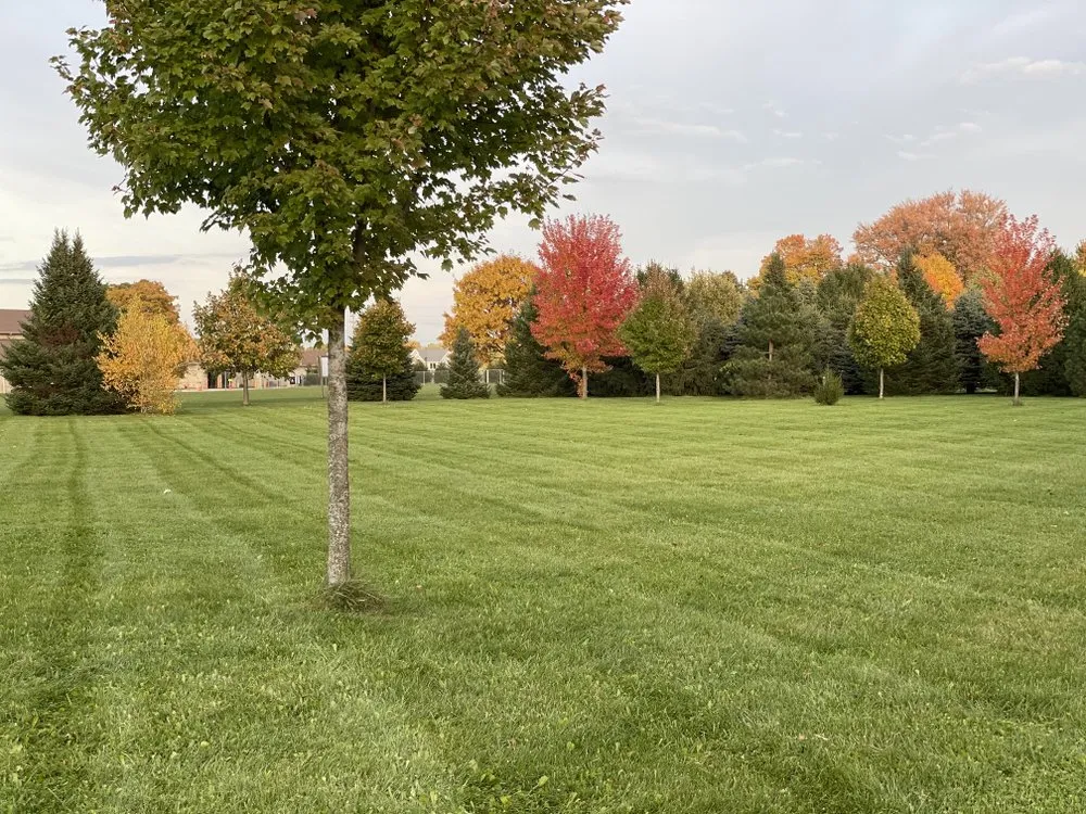 Trusted lawn care service for beautiful yards in Hebron, IN by South + Jefferson Home and Lawn