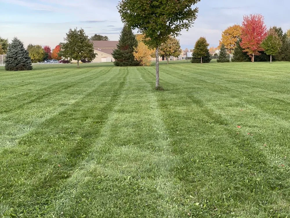 Expert lawn care service for homes across Hebron, IN - South + Jefferson Home and Lawn