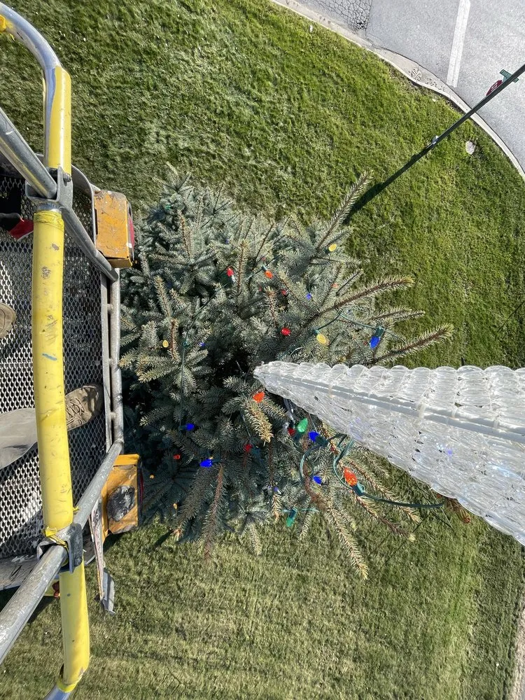 Top-rated landscape design for outdoor upgrades across Hebron, IN - South + Jefferson Home and Lawn