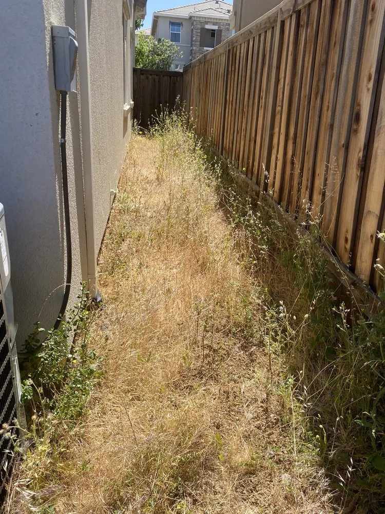 Affordable landscape design in San Jose, CA - South Bay Cleaning & Landscaping Services